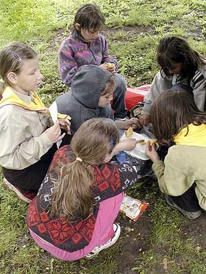 prknovka-12 prknovka-12